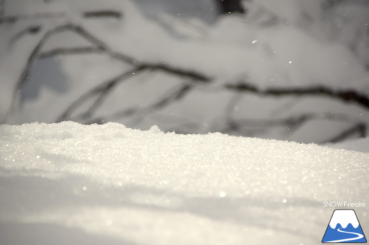 キロロリゾート 児玉毅の『雪山の達人』に密着！